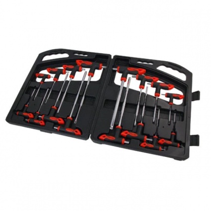 16 Piece T Handle Driver Set