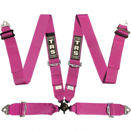 TRS Magnum 4 Point Harness