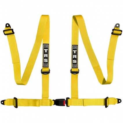 TRS 4 Point Road Harness